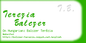 terezia balczer business card